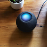 HOMEPOD MINI (BLACK)