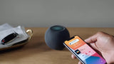 HOMEPOD MINI (BLACK)